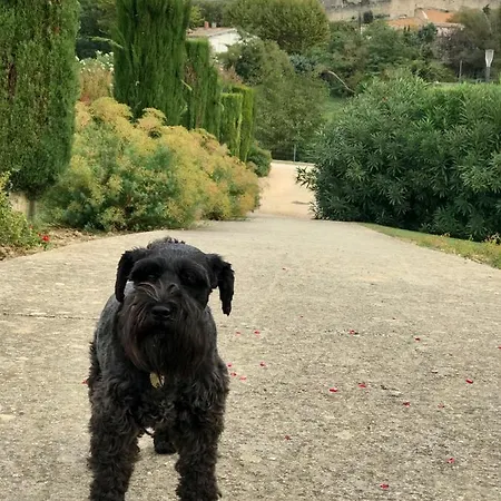 45bb Bed & Breakfast