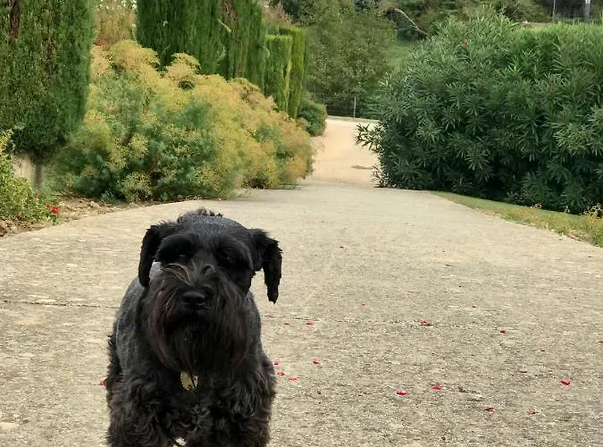 45bb Alojamento de Acomodação e Pequeno-almoço